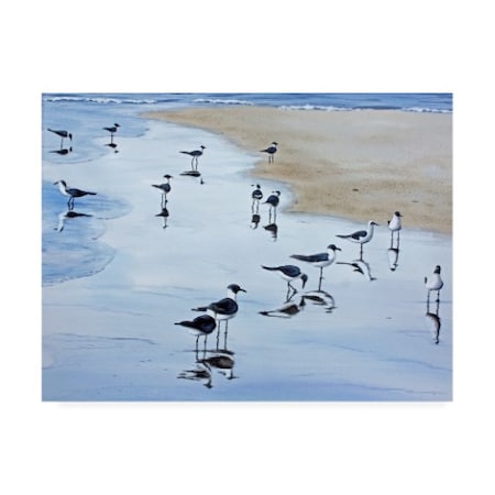 Patrick Sullivan 'Many Birds' Canvas Art,18x24